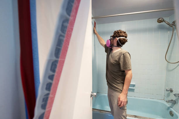 Trusted Aurora, TX Mold Removal Experts