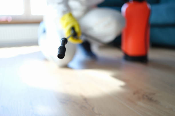 Best Residential Mold Inspection & Testing  in Aurora, TX
