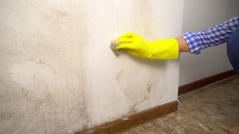 Best Asbestos and Lead Testing During Mold Inspection  in Aurora, TX