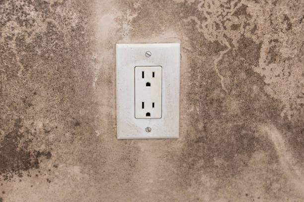 Best Mold Prevention Services  in Aurora, TX